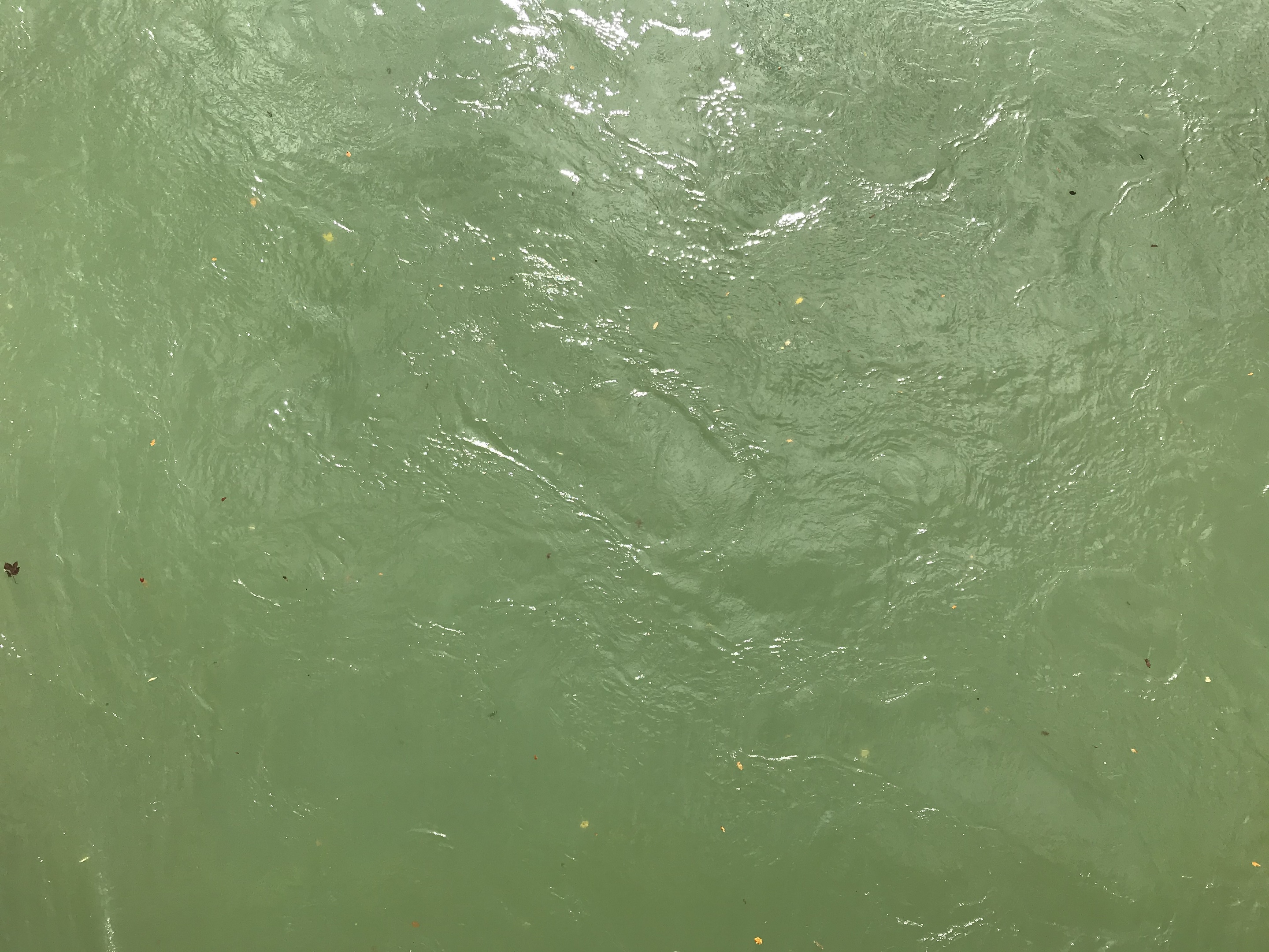 La couleur de l’Aar 24.10.2020 12:51