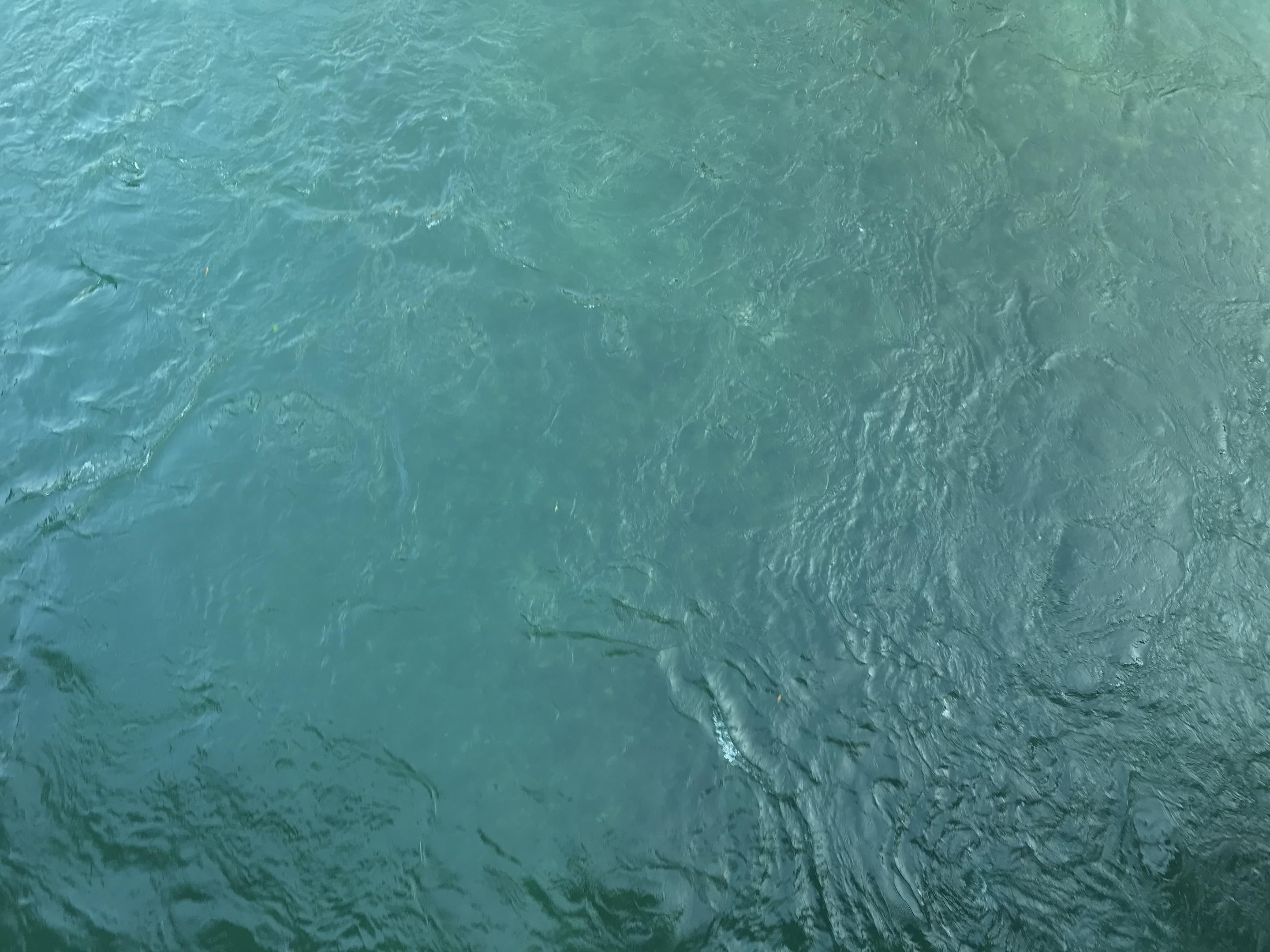 La couleur de l’Aar 17.09.2020 08:30