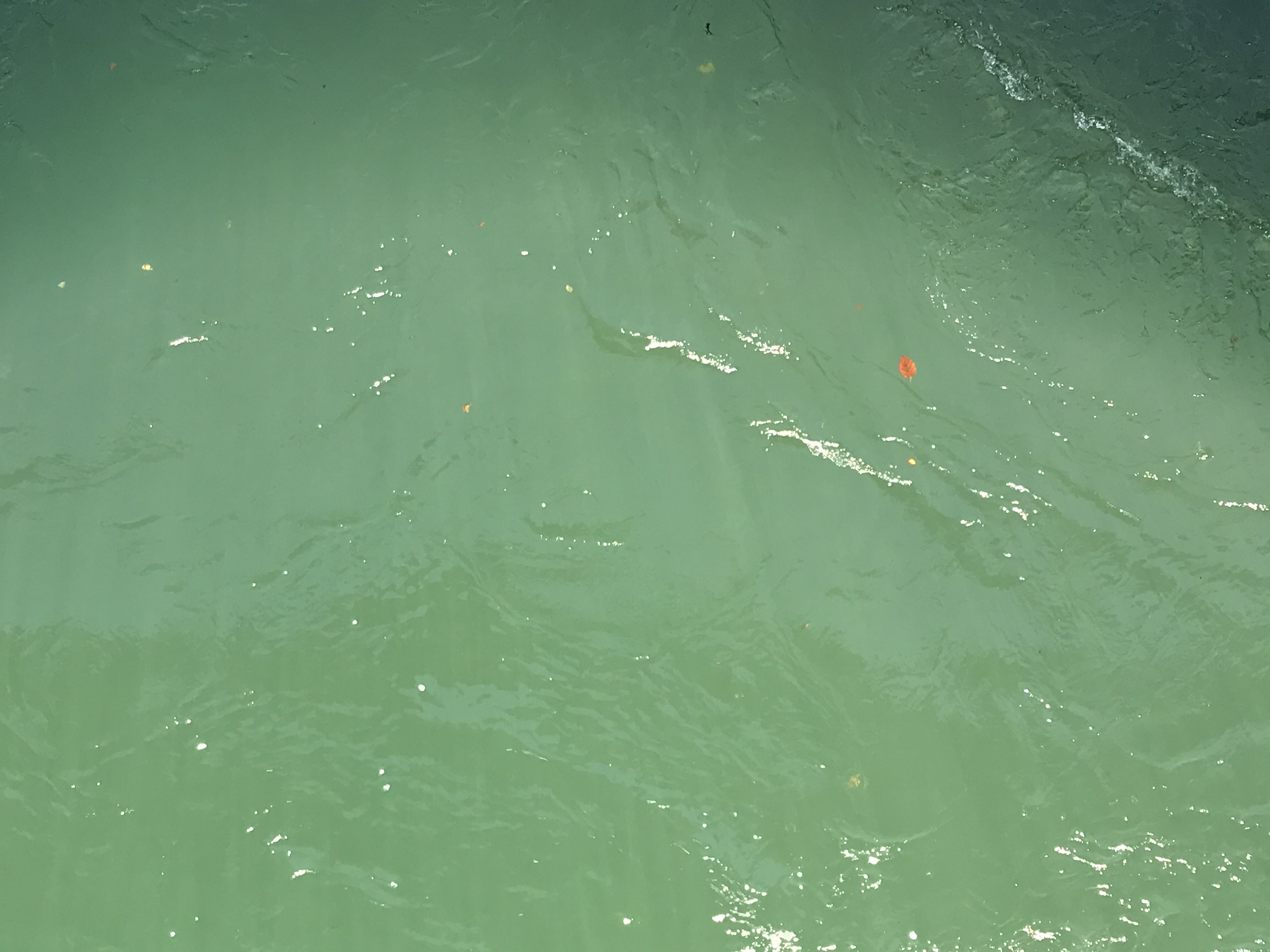 La couleur de l’Aar 25.10.2020 11:14