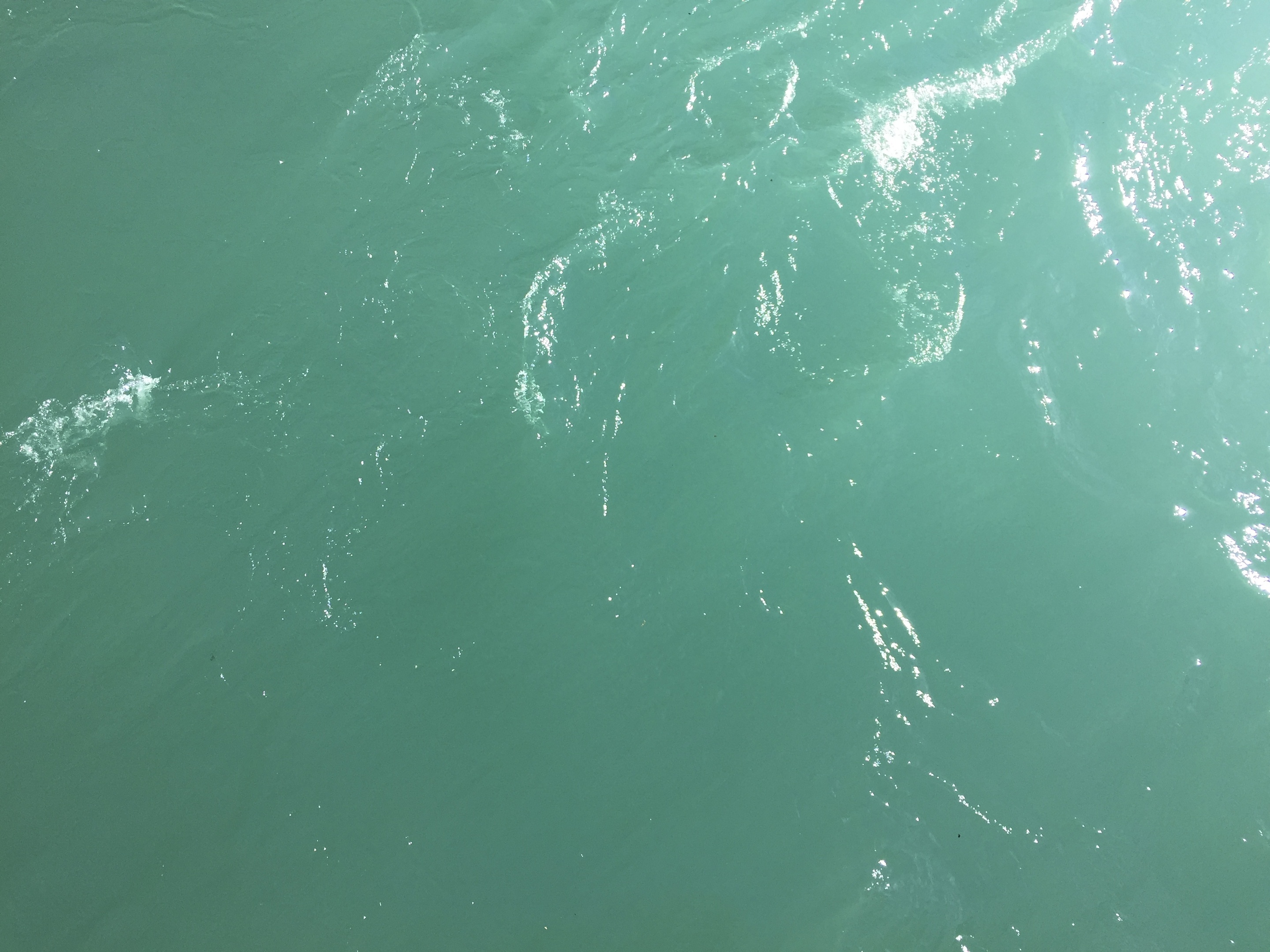 La couleur de l’Aar 30.06.3017 08:16