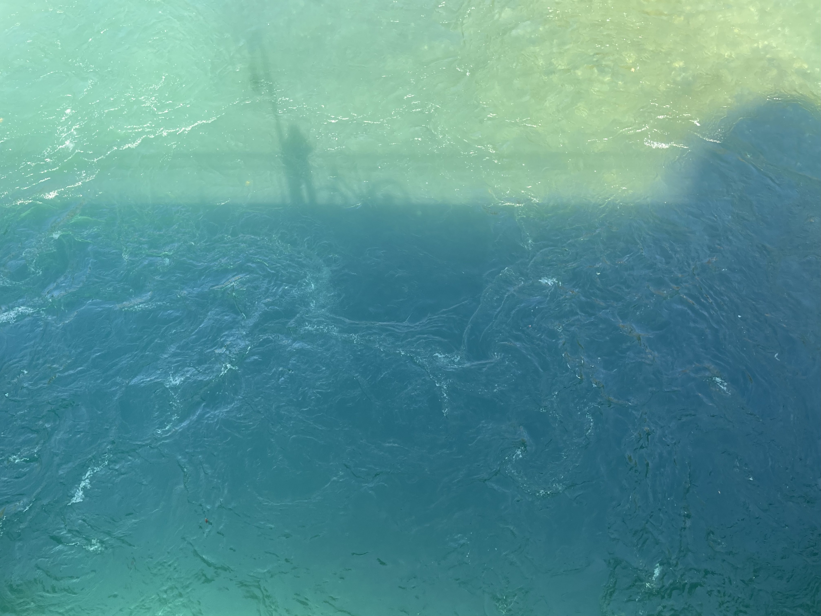 La couleur de l’Aar 19.09.2025 12:15